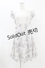 Victorian maiden / ロココブーケフリルエプロンドレス Free ロココグレージュ H-25-08-08-1006-CL-OP-NS-ZH
