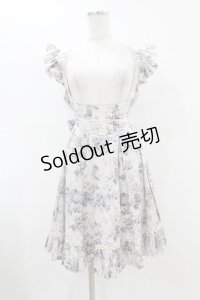 Victorian maiden / ロココブーケフリルエプロンドレス Free ロココグレージュ H-25-08-08-1006-CL-OP-NS-ZH