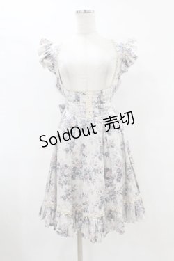 画像1: Victorian maiden / ロココブーケフリルエプロンドレス Free ロココグレージュ H-25-08-08-1006-CL-OP-NS-ZH