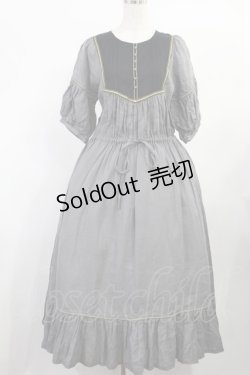 画像1: SERAPHIM / 中世の庭ドレス  グレー H-25-08-09-1002-LO-OP-IG-ZH