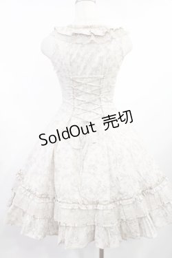 画像3: Victorian maiden / レディローズピンタックフリルワンピース Free グレー H-25-08-11-1006-CL-OP-NS-ZH
