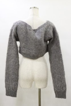 画像2: Melt the lady / クロップドトップス Free グレー H-25-08-12-051-PU-TO-NS-ZH