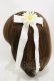 画像2: Angelic Pretty / マーガレットリボンクリップSet  オフ H-25-08-12-010-AP-AC-NS-ZH (2)