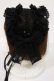 画像2: metamorphose / Fairyフリルヘッドドレス  ブラック H-25-08-18-1003-ME-AC-NS-ZH (2)