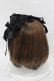 画像11: LOLITAその他 / アクセサリーセット   H-25-08-18-008-LO-ZA-NS-ZH