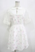 Swankiss / TS Lacy Fleur O/P Free オフ H-25-08-21-040-CA-OP-NS-ZH