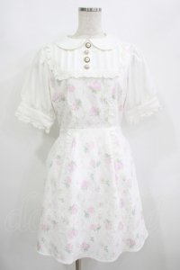 Swankiss / TS Lacy Fleur O/P Free オフ H-25-08-21-040-CA-OP-NS-ZH