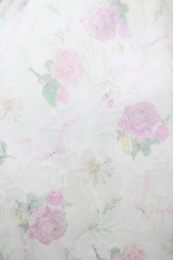 画像4: Swankiss / TS Lacy Fleur O/P Free オフ H-25-08-21-040-CA-OP-NS-ZH