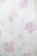 画像4: Swankiss / TS Lacy Fleur O/P Free オフ H-25-08-21-040-CA-OP-NS-ZH (4)
