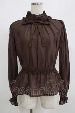 画像1: ROSA BIANCA / ブラウジングのクラシカルブラウス 9号 ブラウン H-25-08-29-1052-EL-BL-NS-ZH