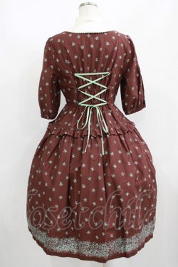 画像3: Victorian maiden / レイラワンピース Free ブラウン H-25-08-29-1007-CL-OP-NS-ZH