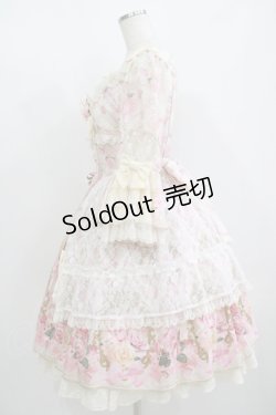 画像2: Angelic Pretty / Rose Museum Dress Free アイボリー H-25-08-29-1009-AP-OP-NS-ZH