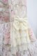 画像6: Angelic Pretty / Rose Museum Dress Free アイボリー H-25-08-29-1009-AP-OP-NS-ZH