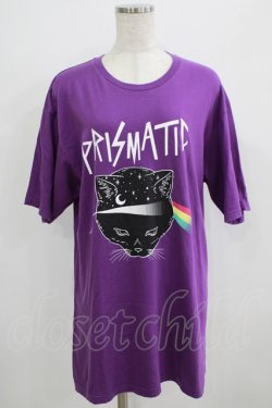 画像1: LISTEN FLAVOR / プリズムキャットBIG Tシャツ  パープル H-25-09-01-052-PU-TO-KB-ZH