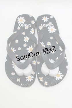 画像1: Candy Stripper / デイジービーチサンダル  ブラック H-25-09-01-069-PU-SH-KB-ZH