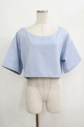 moulis' / クロップドロゴ刺繍Tシャツ LL サックス H-25-09-08-046-PU-TS-NS-ZH