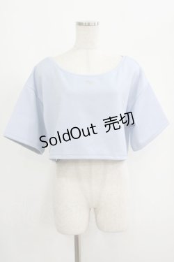 画像1: moulis' / クロップドロゴ刺繍Tシャツ LL サックス H-25-09-08-046-PU-TS-NS-ZH