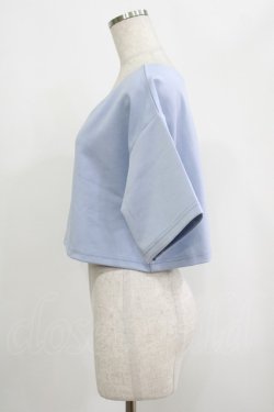 画像2: moulis' / クロップドロゴ刺繍Tシャツ LL サックス H-25-09-08-046-PU-TS-NS-ZH