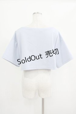 画像3: moulis' / クロップドロゴ刺繍Tシャツ LL サックス H-25-09-08-046-PU-TS-NS-ZH