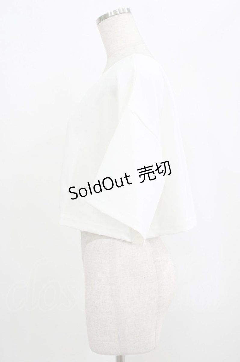 画像2: moulis' / クロップドロゴ刺繍Tシャツ LL オフ H-25-09-08-047-PU-TS-NS-ZH (2)