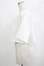 画像2: moulis' / クロップドロゴ刺繍Tシャツ LL オフ H-25-09-08-047-PU-TS-NS-ZH (2)