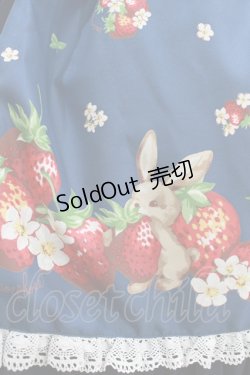 画像4: metamorphose / 【プラスサイズ】ストロベリーガーデンバッスルフリルジャンパースカート プラスサイズ ネイビー H-25-09-08-007-ME-OP-NS-ZH