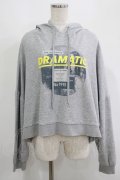 Candy Stripper / DRAMATIC HOODIE 2 グレー H-25-09-12-039-PU-TO-KB-ZH