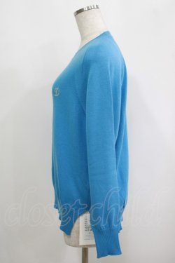 画像2: Jane Marple Dans Le Salon / 刺繍ニット M ブルー H-25-09-12-050-JM-TO-KB-ZH