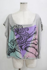 galaxxxy / ペガサスカットソー  グレー H-25-09-20-035-PU-TO-KB-ZT492