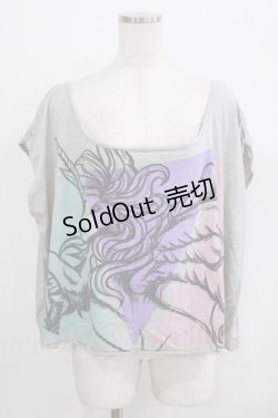 画像1: 【SALE】galaxxxy / ペガサスカットソー  グレー H-25-09-20-035-PU-TO-KB-ZT492