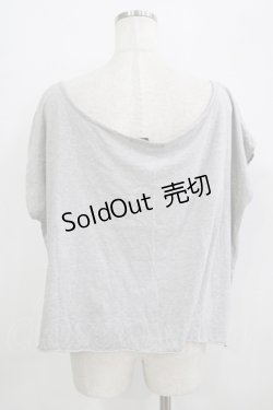 画像3: 【SALE】galaxxxy / ペガサスカットソー  グレー H-25-09-20-035-PU-TO-KB-ZT492