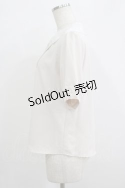 画像2: Fi.n.t / スワン刺繍シアー衿ブラウス Free PINKBEIGE H-25-09-21-040-CA-BL-NS-ZH