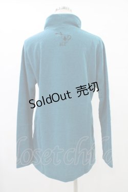 画像2: ALGONQUINS / プリントハイネックカットソー F エメラルド H-25-09-25-1053-AL-TO-KB-ZH