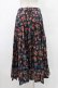 画像2: Jane Marple Dans Le Salon / Flowers of Jouy double accordion skirt  ネイビー H-25-09-25-1038-JM-SK-KB-ZH (2)