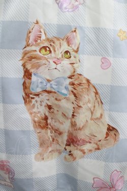 画像4: To Alice / キャット×ギンガムチェックシリーズ浴衣のスカート M サックス H-25-09-26-021-LO-SK-NS-ZH