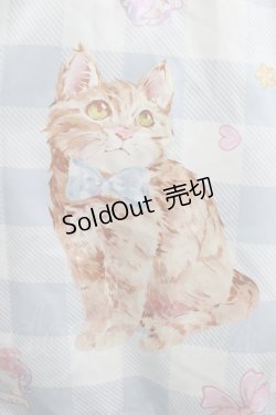 画像4: To Alice / キャット×ギンガムチェックシリーズ浴衣のスカート M サックス H-25-09-26-021-LO-SK-NS-ZH