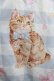 画像4: To Alice / キャット×ギンガムチェックシリーズ浴衣のスカート M サックス H-25-09-26-021-LO-SK-NS-ZH (4)