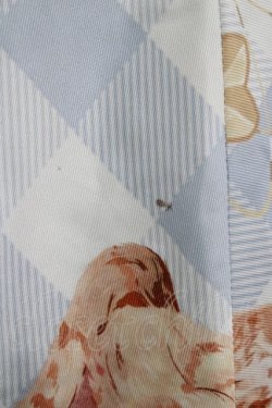 画像5: To Alice / キャット×ギンガムチェックシリーズ浴衣のスカート M サックス H-25-09-26-021-LO-SK-NS-ZH