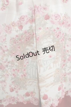 画像4: LIZ LISA / 木苺柄スカパン Free レッド H-25-09-29-040-LO-PA-NS-ZH