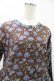 画像4: Jane Marple Dans Le Salon / Poiret & Hildaドレス  ブラウン H-25-10-01-022-JM-OP-KB-ZH (4)