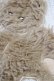 画像4: Candy Stripper / CANDY BEARS KNIT  オフワホワイト H-25-10-02-058-PU-TO-KB-ZH (4)