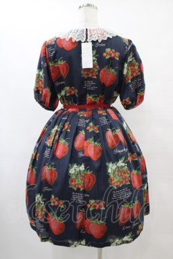 画像2: Leur Getter / Strawberry Garden袖付きワンピース  ネイビー H-25-10-04-1022-LU-OP-KB-ZH