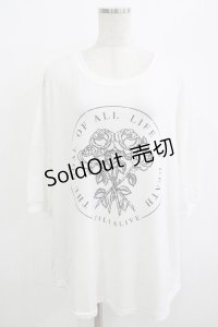 HELL CAT PUNKS / ローズプリントメッシュ切替カットソー  白 H-25-10-04-055-PU-TO-KB-ZT494