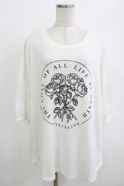 画像1: HELL CAT PUNKS / ローズプリントメッシュ切替カットソー  白 H-25-10-04-055-PU-TO-KB-ZH