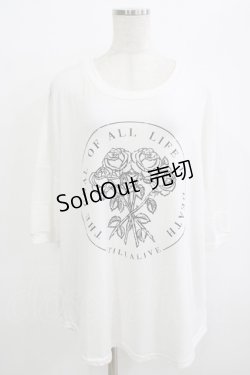 画像1: HELL CAT PUNKS / ローズプリントメッシュ切替カットソー  白 H-25-10-04-055-PU-TO-KB-ZT494