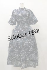 axes femme / オーガンジーフラワーワンピース Free ブラック H-25-10-07-076-AX-OP-NS-ZH