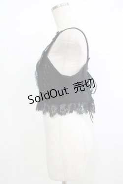 画像2: Rozen Kavalier / 刺繍ショートビスチェ  黒 H-25-10-08-1066-OO-TO-KB-ZH