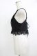 画像2: Rozen Kavalier / 刺繍ショートビスチェ  黒 H-25-10-08-1066-OO-TO-KB-ZH (2)