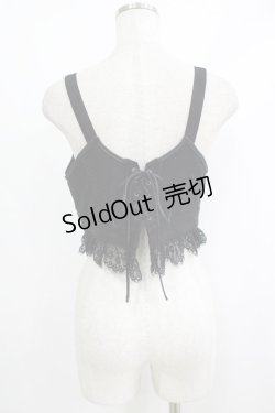 画像3: Rozen Kavalier / 刺繍ショートビスチェ  黒 H-25-10-08-1066-OO-TO-KB-ZH