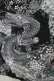 画像5: Qutie Frash / 2023-宵鶴-アシメロングスカート  黒 H-25-10-08-1009-QU-SK-KB-ZH (5)